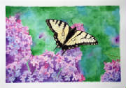 hayjo2013_eastern_yellow_swallowtail_10x7.JPG