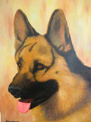 verlo2010_german_shepherd_12x16.jpg