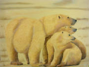 verlo2010_three_polar_bears_16x20.jpg